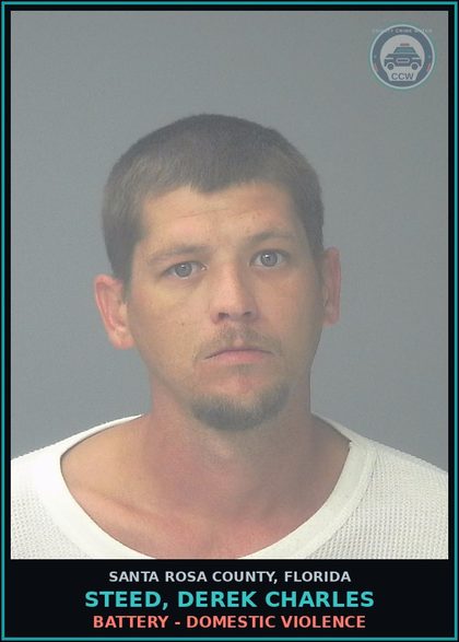 CCW arrest card for STEED, DEREK CHARLES in Santa Rosa County: OBSTRUCTING JUSTICE