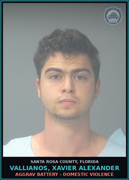 CCW arrest card for VALLIANOS, XAVIER ALEXANDER in Santa Rosa County: CRUELTY TOWARD chld