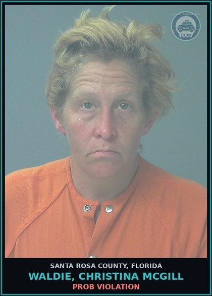 CCW arrest card for WALDIE, CHRISTINA MCGILL in Santa Rosa County: PROB VIOLATION