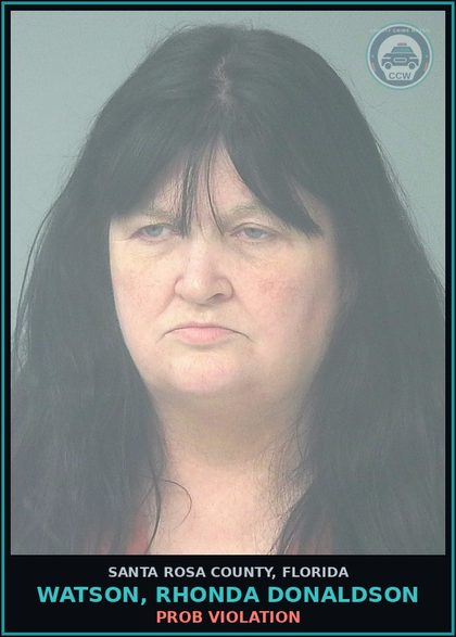 CCW arrest card for WATSON, RHONDA DONALDSON in Santa Rosa County: PROB VIOLATION