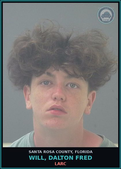 CCW arrest card for WILL, DALTON FRED in Santa Rosa County: LARC