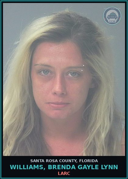 CCW arrest card for WILLIAMS, BRENDA GAYLE LYNN in Santa Rosa County: LARC