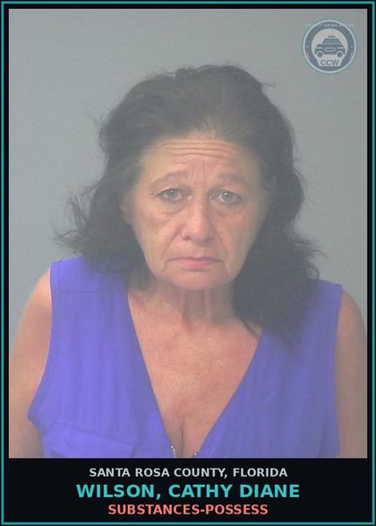 CCW arrest card for WILSON, CATHY DIANE in Santa Rosa County: DRUGS-POSSESS