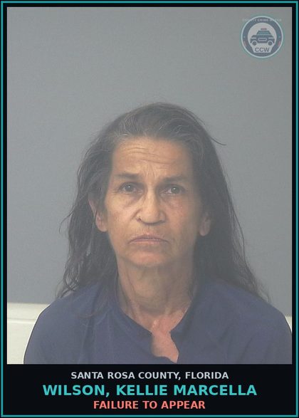 CCW arrest card for WILSON, KELLIE MARCELLA in Santa Rosa County: FAILURE TO APPEAR