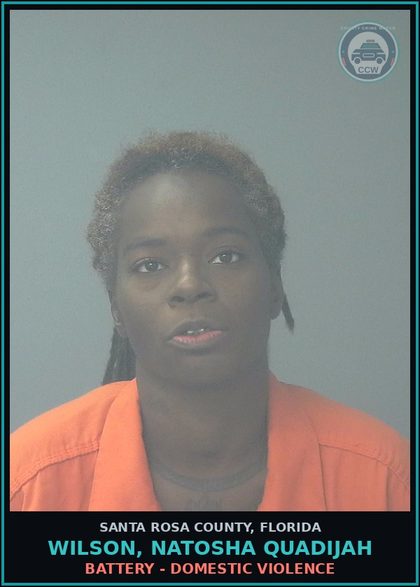 CCW arrest card for WILSON, NATOSHA QUADIJAH in Santa Rosa County: BATTERY - DOMESTIC VIOLENCE