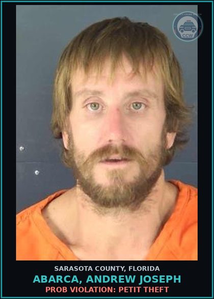 CCW arrest card for ABARCA, ANDREW JOSEPH in Sarasota County: PROB VIOLATION: PETIT THEFT