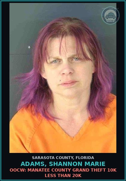 CCW arrest card for ADAMS, SHANNON MARIE in Sarasota County: OOCW: MANATEE COUNTY GRAND THEFT 10K LESS THAN 20K