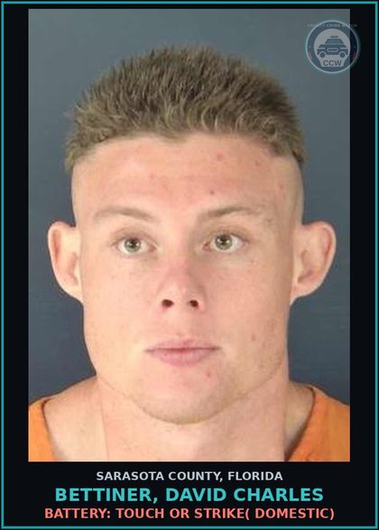 CCW arrest card for BETTINER, DAVID CHARLES in Sarasota County: BATTERY: TOUCH OR STRIKE( DOMESTIC)