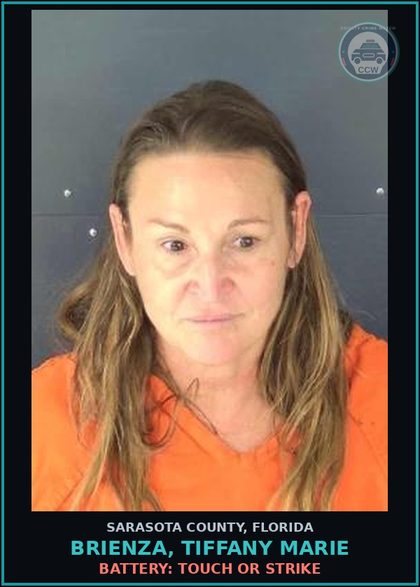 CCW arrest card for BRIENZA, TIFFANY MARIE in Sarasota County: OBSTRUCTING JUSTICE: HINDER WITN COMM INFO LEO/JUDGE LIFE/CAP PROC