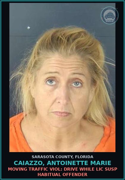 CCW arrest card for CAIAZZO, ANTOINETTE MARIE in Sarasota County: MOVING TRAFFIC VIOL: DRIVE WHILE LIC SUSP HABITUAL OFFENDER