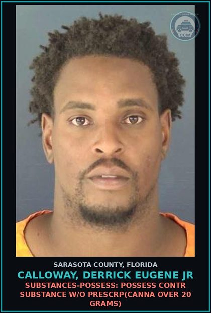 CCW arrest card for CALLOWAY, DERRICK EUGENE JR in Sarasota County: SUBSTANCES-POSSESS: POSSESS CONTR SUBSTANCE W/O PRESCRP(CANNA OVER 20 GRAMS)