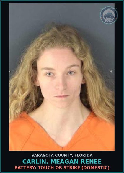 CCW arrest card for CARLIN, MEAGAN RENEE in Sarasota County: BATTERY: TOUCH OR STRIKE (DOMESTIC)