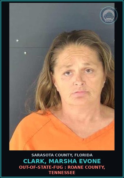 CCW arrest card for CLARK, MARSHA EVONE in Sarasota County: OUT-OF-STATE-FUG : ROANE COUNTY, TENNESSEE