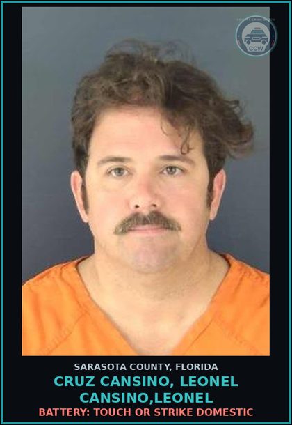 CCW arrest card for CRUZ CANSINO, LEONEL CANSINO,LEONEL in Sarasota County: BATTERY: TOUCH OR STRIKE DOMESTIC