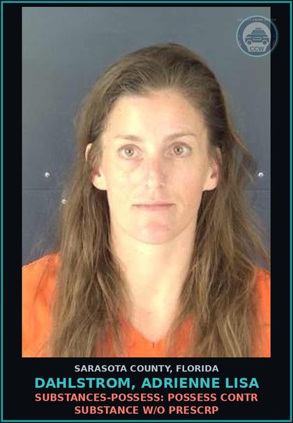 CCW arrest card for DAHLSTROM, ADRIENNE LISA in Sarasota County: SUBSTANCES-POSSESS: POSSESS CONTR SUBSTANCE W/O PRESCRP