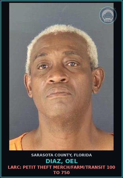 CCW arrest card for DIAZ, OEL in Sarasota County: LARC: PETIT THEFT MERCH/FARM/TRANSIT 100 TO 750