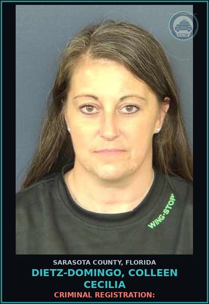 CCW arrest card for DIETZ-DOMINGO, COLLEEN CECILIA in Sarasota County: CRIMINAL REGISTRATION: