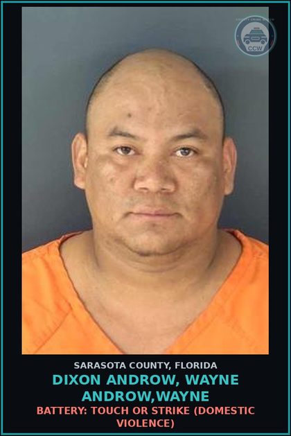 CCW arrest card for DIXON ANDROW, WAYNE ANDROW,WAYNE in Sarasota County: BATTERY: TOUCH OR STRIKE (DOMESTIC VIOLENCE)