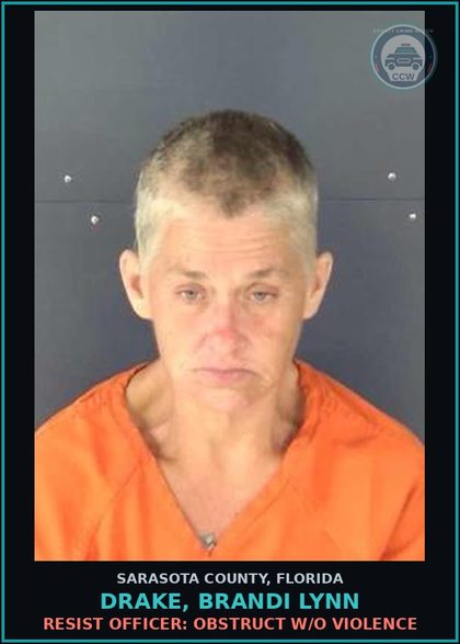 CCW arrest card for DRAKE, BRANDI LYNN in Sarasota County: SUBSTANCE EQUIP-POSSESS: AND OR USE