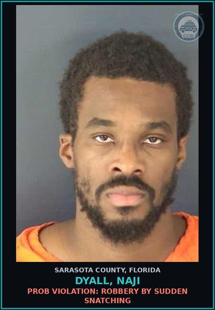 CCW arrest card for DYALL, NAJI in Sarasota County: PROB VIOLATION: ROBBERY BY SUDDEN SNATCHING