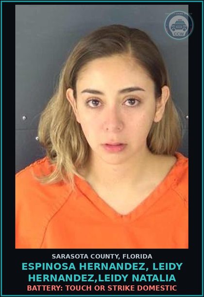 CCW arrest card for ESPINOSA HERNANDEZ, LEIDY HERNANDEZ,LEIDY NATALIA in Sarasota County: BATTERY: TOUCH OR STRIKE DOMESTIC