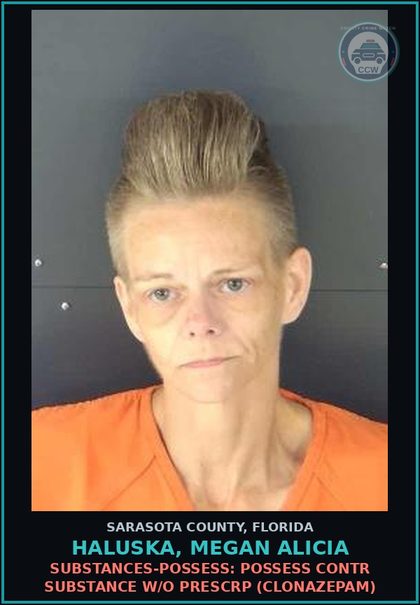 CCW arrest card for HALUSKA, MEGAN ALICIA in Sarasota County: SUBSTANCES-POSSESS: POSSESS CONTR SUBSTANCE W/O PRESCRP (CLONAZEPAM)