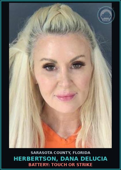 CCW arrest card for HERBERTSON, DANA DELUCIA in Sarasota County: SUBSTANCES-POSSESS: POSSESS CONTR SUBSTANCE W/O PRESCRP (AMPHETAMINE/DEXTROAMPHETAMINE)