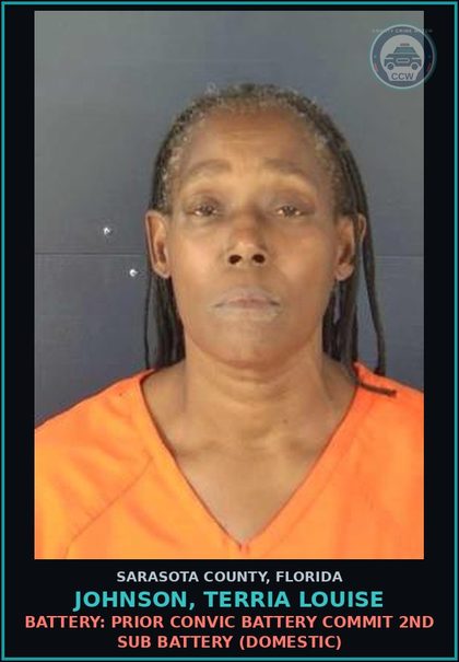 CCW arrest card for JOHNSON, TERRIA LOUISE in Sarasota County: BATTERY: PRIOR CONVIC BATTERY COMMIT 2ND SUB BATTERY (DOMESTIC)