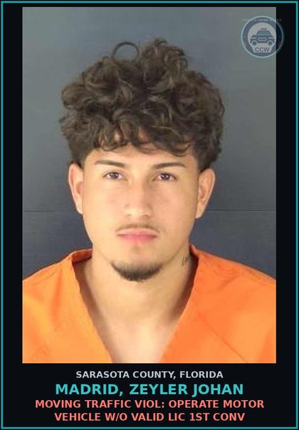 CCW arrest card for MADRID, ZEYLER JOHAN in Sarasota County: MOVING TRAFFIC VIOL: OPERATE MOTOR VEHICLE W/O VALID LIC 1ST CONV