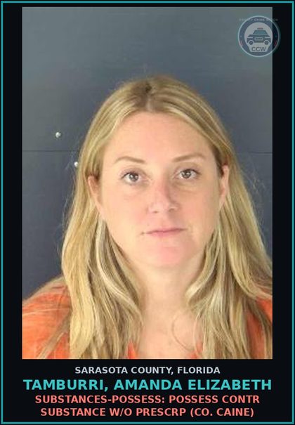 CCW arrest card for TAMBURRI, AMANDA ELIZABETH in Sarasota County: SUBSTANCES-POSSESS: POSSESS CONTR SUBSTANCE W/O PRESCRP (CO. CAINE)