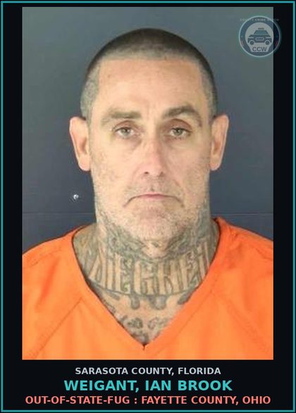 CCW arrest card for WEIGANT, IAN BROOK in Sarasota County: OUT-OF-STATE-FUG : FAYETTE COUNTY, OHIO