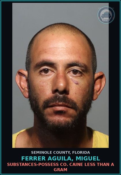 CCW arrest card for FERRER AGUILA, MIGUEL in Seminole County: DRUGS-POSSESS COCAINE LESS THAN A GRAM