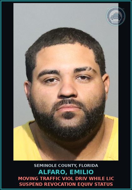 CCW arrest card for ALFARO, EMILIO in Seminole County: MOVING TRAFFIC VIOL DRIV WHILE LIC SUSPEND REVOCATION EQUIV STATUS