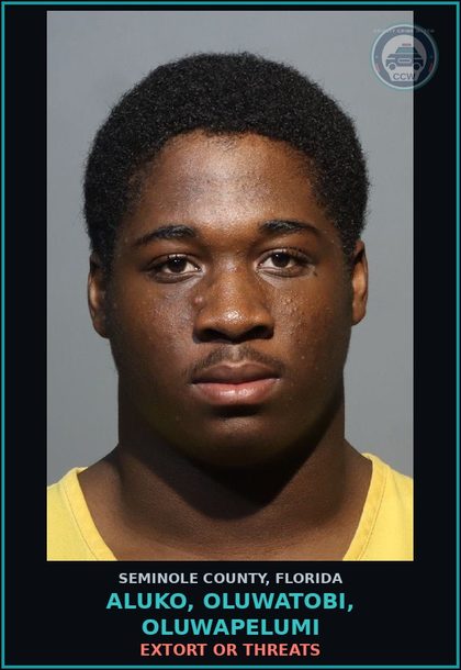 CCW arrest card for ALUKO, OLUWATOBI, OLUWAPELUMI in Seminole County: EXTORT OR THREATS