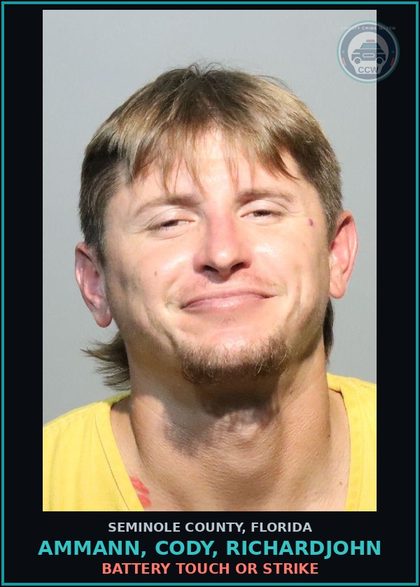 CCW arrest card for AMMANN, CODY, RICHARDJOHN in Seminole County: BATTERY TOUCH OR STRIKE