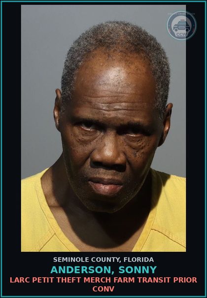CCW arrest card for ANDERSON, SONNY in Seminole County: LARC PETIT THEFT MERCH FARM TRANSIT PRIOR CONV