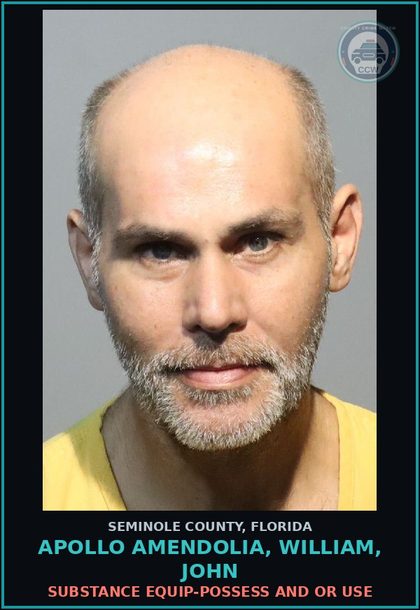 CCW arrest card for APOLLO AMENDOLIA, WILLIAM, JOHN in Seminole County: DRUG EQUIP-POSSESS AND OR USE