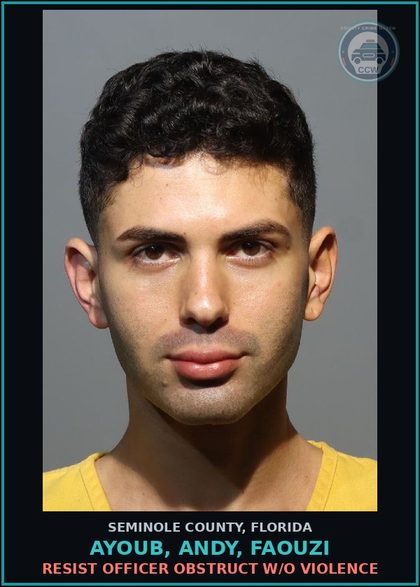 CCW arrest card for AYOUB, ANDY, FAOUZI in Seminole County: FLEEING OR ATTEMPTING TO ELUDE A POLICE OFFICER