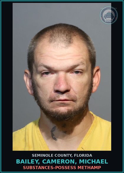 CCW arrest card for BAILEY, CAMERON, MICHAEL in Seminole County: DRUGS-POSSESS Methamp