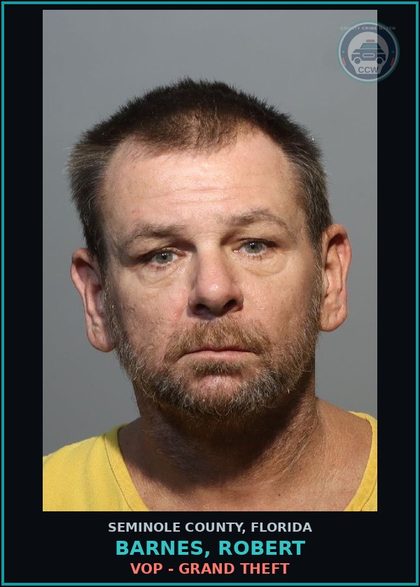 CCW arrest card for BARNES, ROBERT in Seminole County: HOLD FLAGLER COUNTY - VOP REF FELONY RETAIL THEFT (2025CF396)