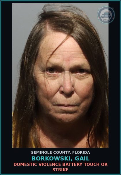 CCW arrest card for BORKOWSKI, GAIL in Seminole County: DOMESTIC VIOLENCE BATTERY TOUCH OR STRIKE
