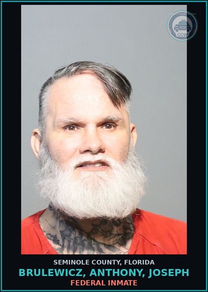 CCW arrest card for BRULEWICZ, ANTHONY, JOSEPH in Seminole County: FEDERAL INMATE