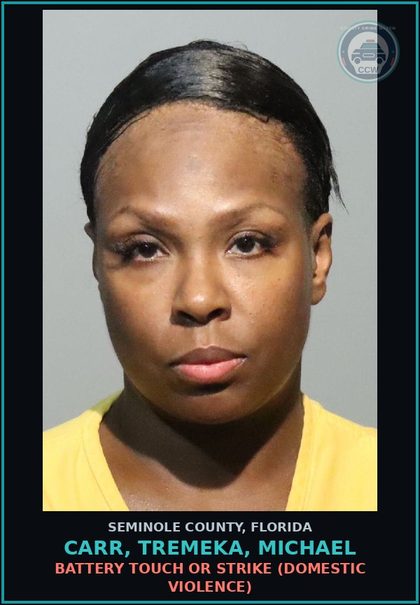 CCW arrest card for CARR, TREMEKA, MICHAEL in Seminole County: BATTERY TOUCH OR STRIKE (DOMESTIC VIOLENCE)
