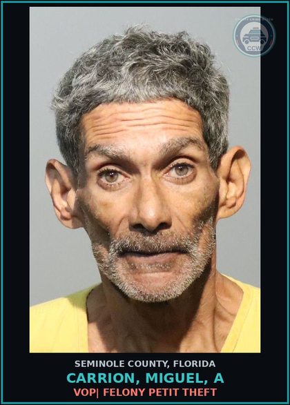 CCW arrest card for CARRION, MIGUEL, A in Seminole County: VOP| FELONY PETIT THEFT