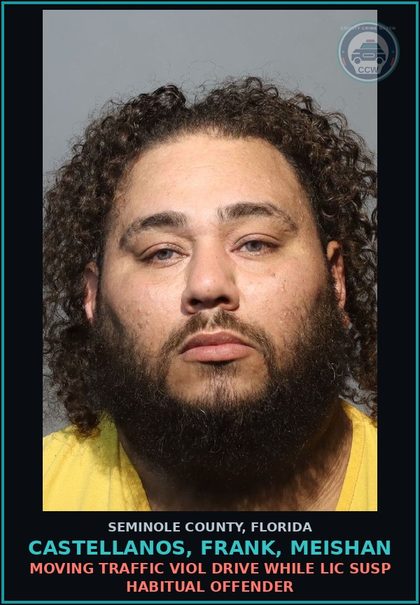 CCW arrest card for CASTELLANOS, FRANK, MEISHAN in Seminole County: MOVING TRAFFIC VIOL DRIVE WHILE LIC SUSP HABITUAL OFFENDER
