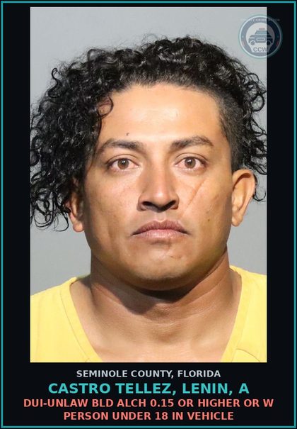 CCW arrest card for CASTRO TELLEZ, LENIN, A in Seminole County: HOLD FOR IMMIGRATION DETAINER IN FILE