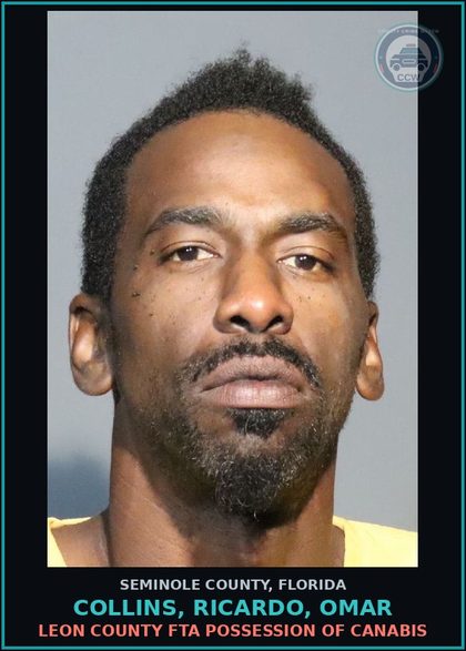 CCW arrest card for COLLINS, RICARDO, OMAR in Seminole County: HOLD FOR IMMIGRATION DETAINER IN FILE