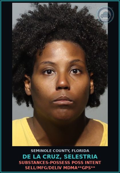 CCW arrest card for DE LA CRUZ, SELESTRIA in Seminole County: DRUG EQUIP-POSSESS AND OR USE