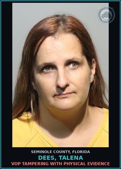 CCW arrest card for DEES, TALENA in Seminole County: VOP TAMPERING WITH PHYSICAL EVIDENCE