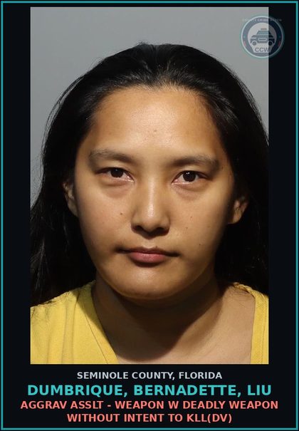 CCW arrest card for DUMBRIQUE, BERNADETTE, LIU in Seminole County: AGGRAV ASSLT - WEAPON W DEADLY WEAPON WITHOUT INTENT TO KILL(DV)